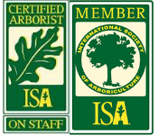 isa_member_logo